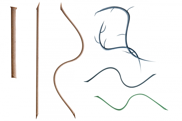 Creation of Species: Step 8